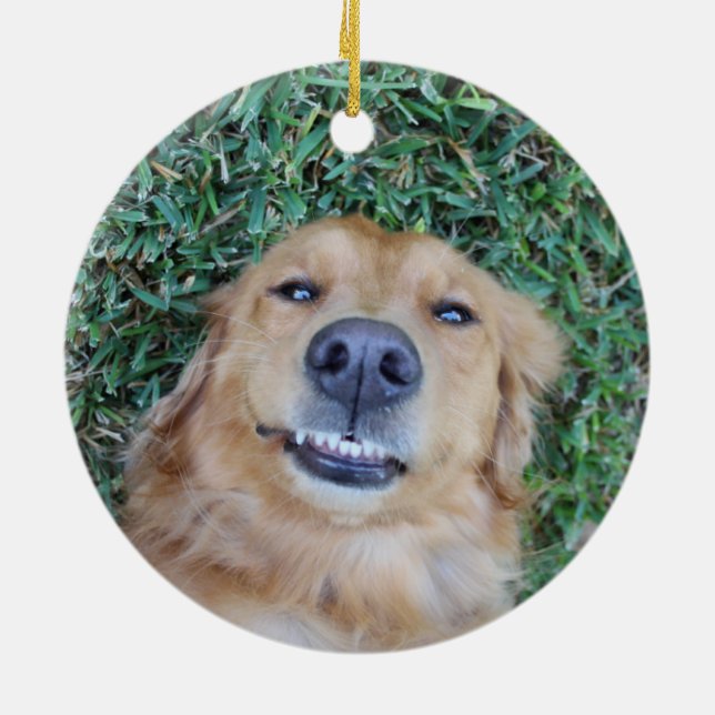 Pet Photo Ornament (Baksidan)