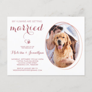 Pet Photo Personlig Hund Bröllop Ro Guld Inbjudan Vykort