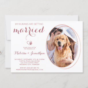 Pet Photo Personlig Hund Bröllop Ro Guld Inbjudningar