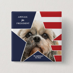 Pet Photo Presidentval 2024 Kandidat Knapp