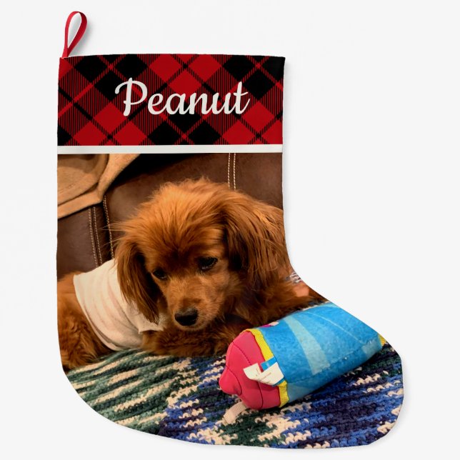 Pet Photo Red Plaid Reversible Personalized Stor Julstrumpa (Framsidan)