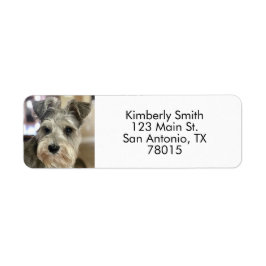 Pet Photo Returadress Etikett