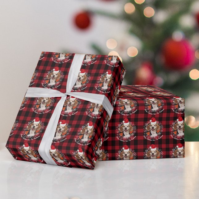 Pet Photo Santa Hat & Red Buffalo Play Presentpapper (Skapare uppladdad)