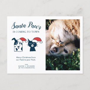 Pet Photo Santa Tassar Kat Hund jul Helg Vykort