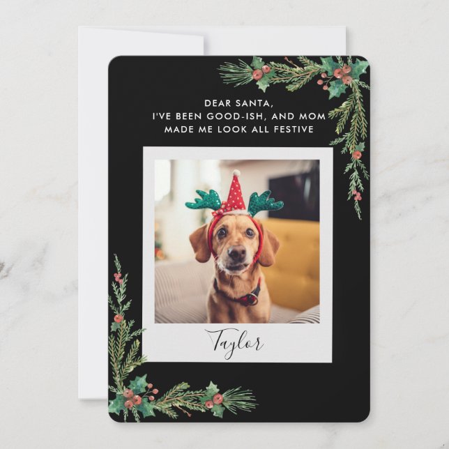 Pet Photo Script Funny Dog Christmas Julkort (Framsida)