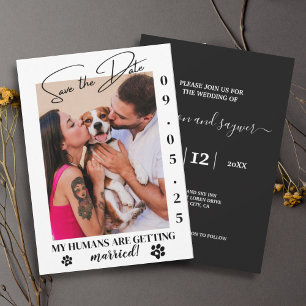Pet Photo Simple Bröllop spara datum Online Inbjudningar