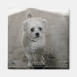 Pet Photo Timless Keepsaké Hund Mamma Pappa Magnet