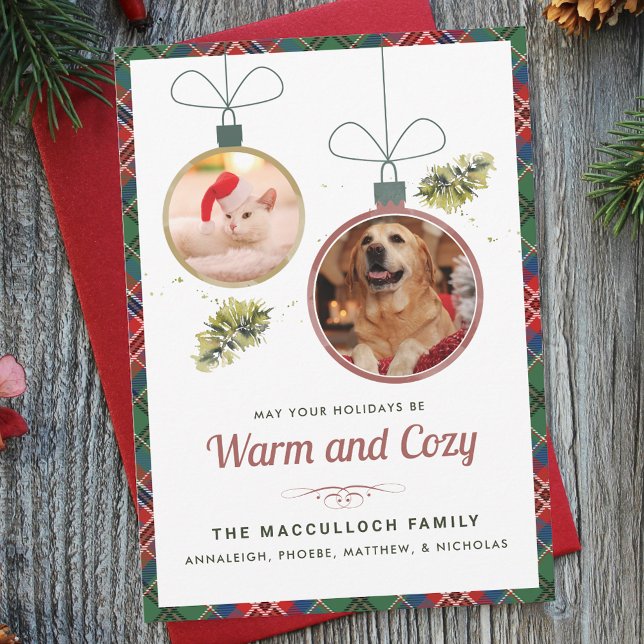 Pet Photos Play Tartan jul Julkort (Pet Photos Plaid Tartan Christmas Holiday Card)