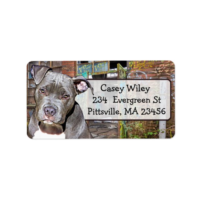 Pet Pitbull Hund Graffiti-bakgrundsetikett Adressetikett (Framsidan)