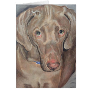 Pet Porträtt - Weimaraner OBS Kort
