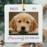 Pet Puppy Hund Photo Pawsitively Best Year någonsi Julgransprydnad Keramik<br><div class="desc">Dekorera träd eller skicka en speciell gåva med den här toppen anpassningsbarna för söta personliger som husdjur till fotojultomdekoration. Denna enkla och moderna hund jultomatornament kommer att vara en favorit bland alla hundälskare. Lägg till din hund foto och anpassa dig med namn och år. Ornament är dubbla, du kan göra...</div>