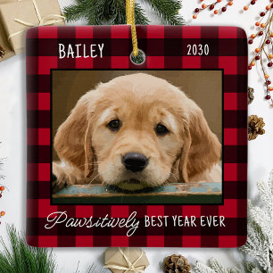 Pet Puppy Hund Photo Red Buffalo Play jul Julgransprydnad Keramik
