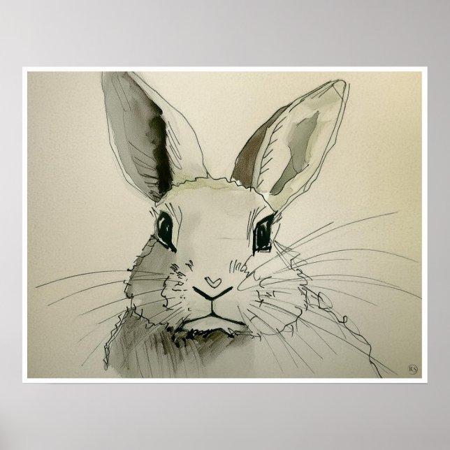 Pet Rabbit Teckning - Art-utskrift Poster (Framsidan)