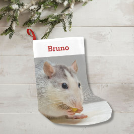 Pet Råtta Älskare Photo & Namn Personlig Liten Julstrumpa
