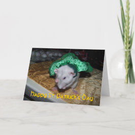 Pet Råtta Ruby St. Pat's Greeting Card Kort