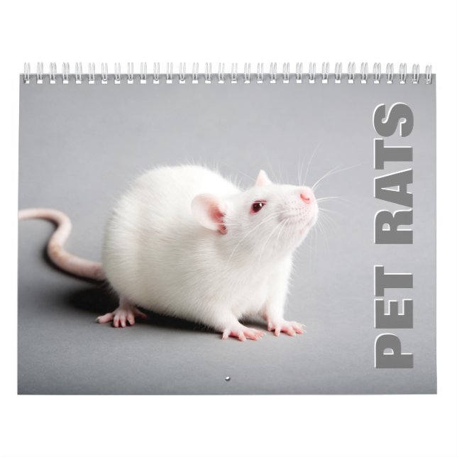 Pet Råttor Wall Calendar Kalender (Omslag)