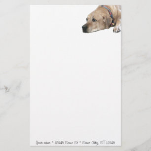 Pet Rhodesian Ridgeback Hund Bild Brevpapper