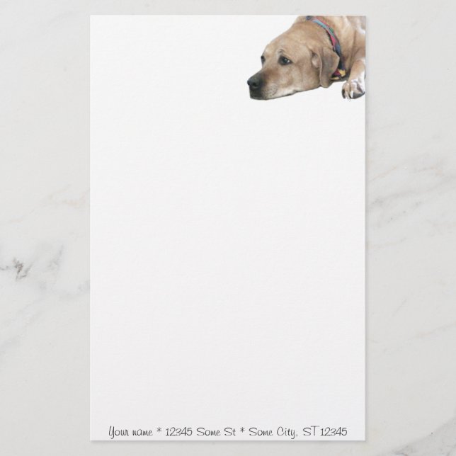 Pet Rhodesian Ridgeback Hund Bild Brevpapper (Framsida)