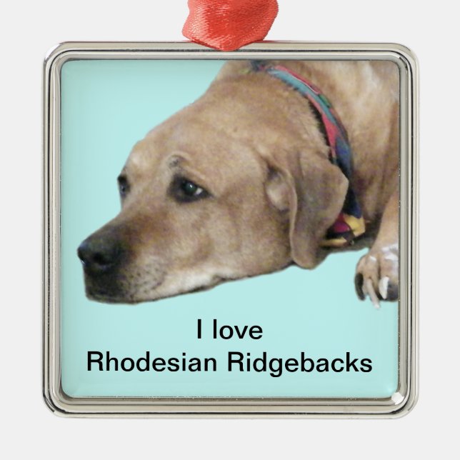 Pet Rhodesian Ridgeback Hund Bild Julgransprydnad Metall (Framsidan)