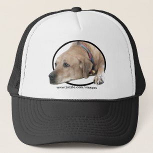 Pet Rhodesian Ridgeback Hund Bild Keps