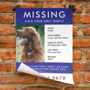 Pet saknas Modern blått foto Poster Flyer