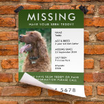 Pet saknas | Modern Grönt - Poster fotosättare Reklamblad<br><div class="desc">En enkel flygblad för sällskapsdjur som saknas poster en mall som kan bidra till att öka medvetenheten i sökandet efter en hund, katt eller annat sällskapsdjur som saknas. Texten är lätt att anpassa, inklusive namn, ålder, ras, saknade datum, ställe, sista gången skådad, belöning eller annan information. Det finns utrymme för...</div>