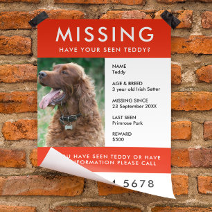 Pet saknas Modern Red Photo Poster Flyer