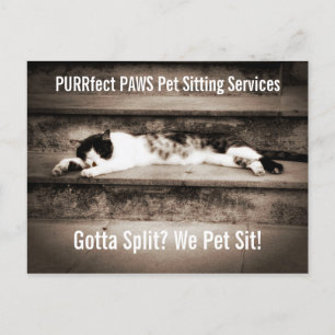 Pet Sitta Business med Tuxedo Cat på steg Vykort