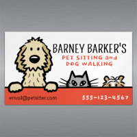 Pet Sitta Hund Cat Guinea Gris Cute Animal Älskare