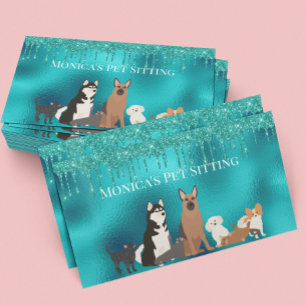 Pet Sitta Hund Cat Pet Sitta Robin's Egg Blue Visitkort