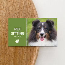 Pet Sitta Hund Service Lycklig Sheltie Hund Photo