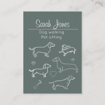 Pet Sitta Hund Walking Sitter Hundar Cats