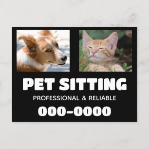 Pet Sitta med hund- och kattfoton Vykort