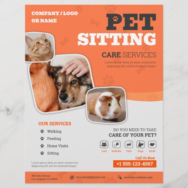 Pet Sitta Services Flyer (Framsidan)