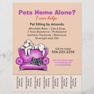Pet Sitter Ad White Hund Mod Couch Tear Lakan Reklamblad
