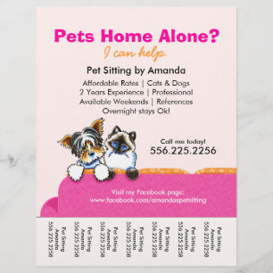 Pet Sitter Ad Yorkie Cat Couch Rosa Tear Lakan Reklamblad