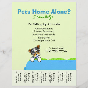 Pet Sitter Ad Yorkie Couch Grönt Tear Lakan Reklamblad