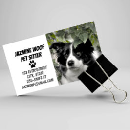 Pet Sitter Dog Walker Visitkort