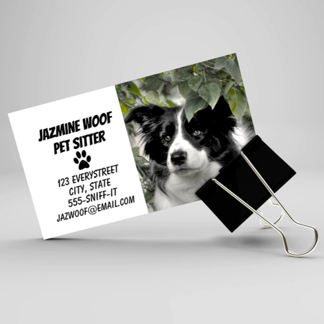Pet Sitter Dog Walker Visitkort (Skapare uppladdad)