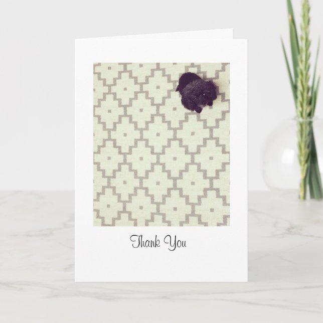 Pet Sitter Tack Kort (Framsida)