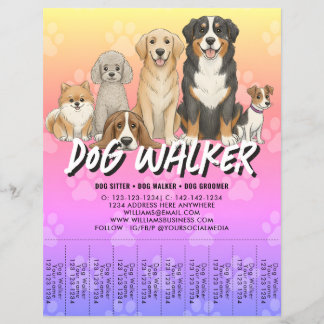 Pet Sitting Dog Walker Custom Promotional Vibrant Reklamblad