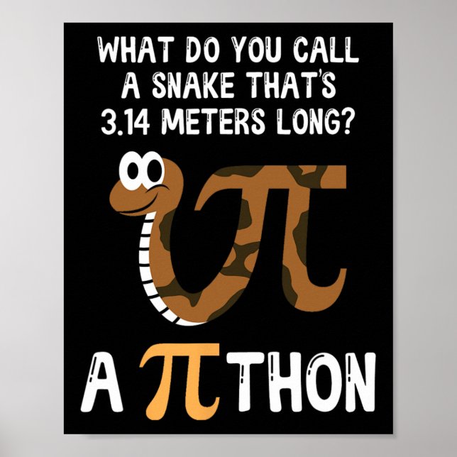 Pet Snake Math Pi Day Python Poster (Framsidan)