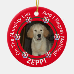 Pet Snowflake Naughty List jul Julgransprydnad Keramik