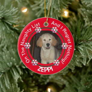 Pet Snowflake Naughty List jul Julgransprydnad Keramik