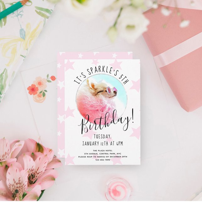 Pet Star | Fotopatens Födelsedagsfest Stars Inbjudningar (Skapare uppladdad)