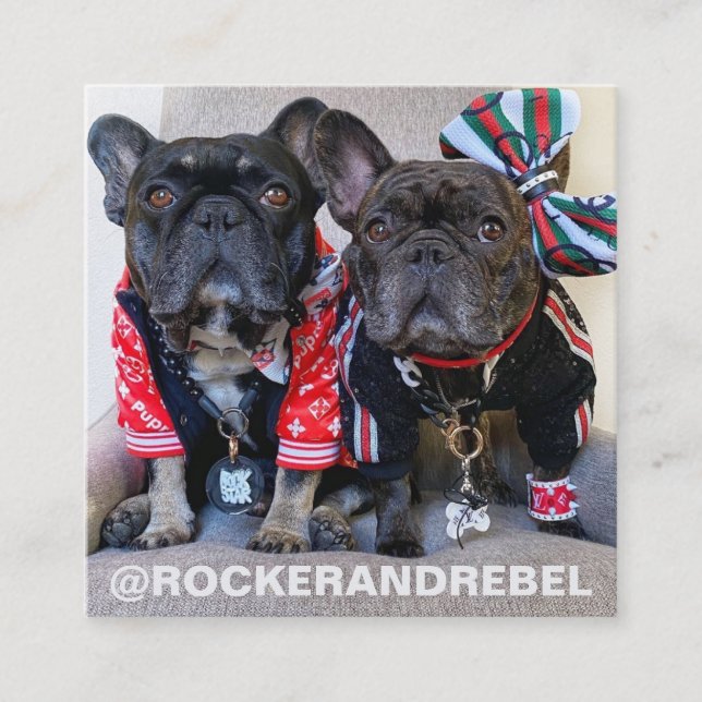 Pet Star | Modern och minimal enkel foto och Logot Fyrkantigt Visitkort (Framsida)