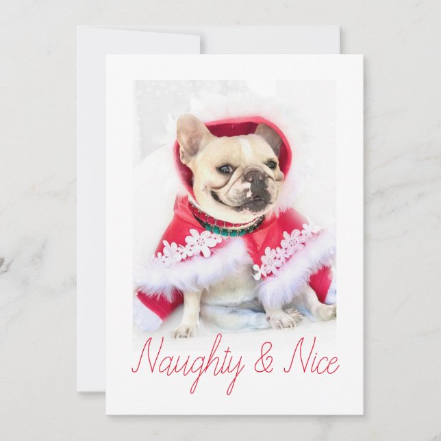 Pet Star | Naughty & Nice Anpassningsbar Pet Hund  Julkort (Framsida)