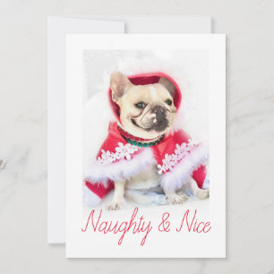 Pet Star   Naughty & Nice Anpassningsbar Pet Hund  Julkort