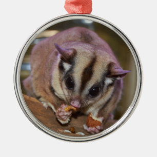 Pet Sugar Glider Julgransprydnad Metall