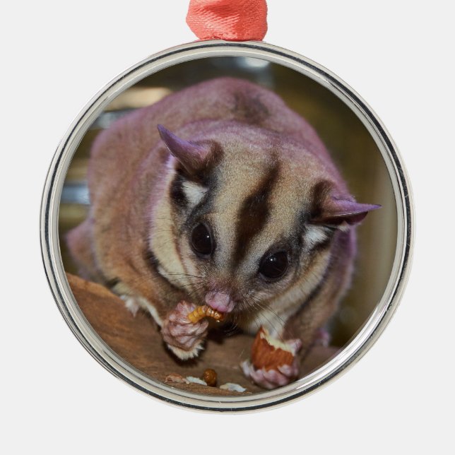 Pet Sugar Glider Julgransprydnad Metall (Framsidan)